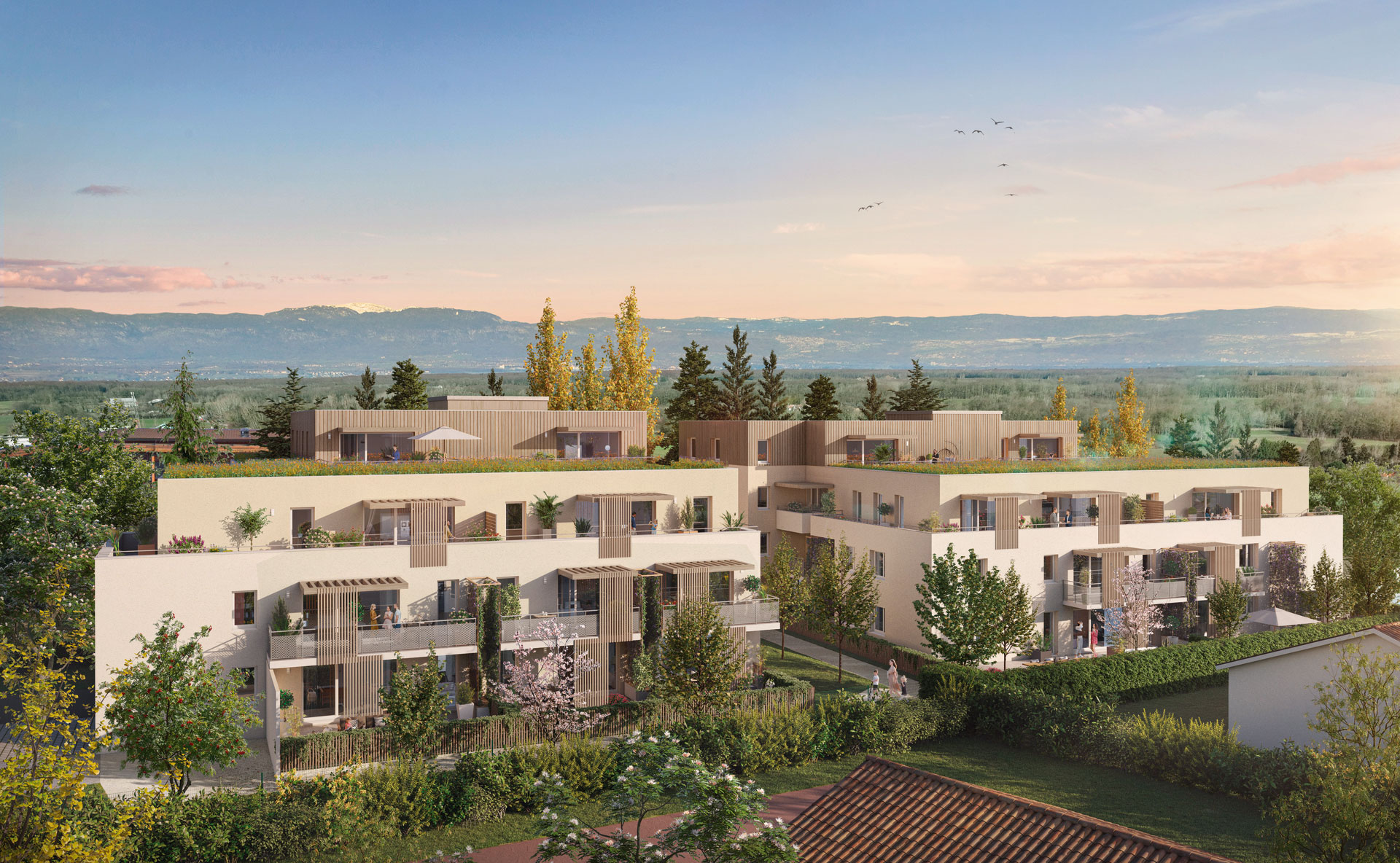 Redman Immobilier Grand Angle Douvaine - 2